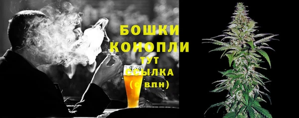 первитин Богданович