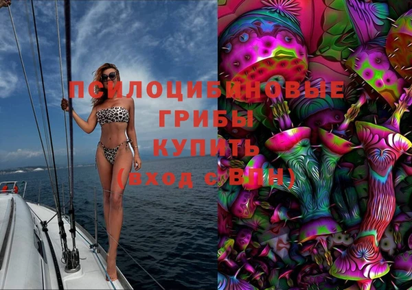 mdma Богородицк