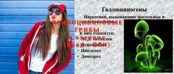 mdma Богородицк