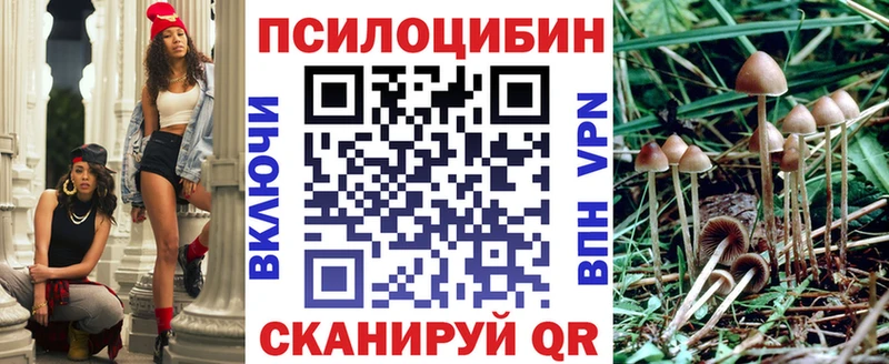 Купить где  Нелидово  Псилоцибиновые грибы Psilocybe 