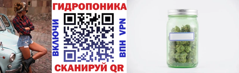 Конопля гибрид  Купить где  Нелидово 